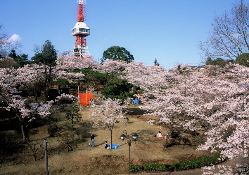 🗼 하치만야마 공원 우쓰노미야 타워 이미지 4